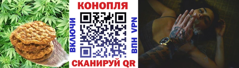 omg маркетплейс  Славянск-на-Кубани  Еда ТГК марихуана  продажа наркотиков 