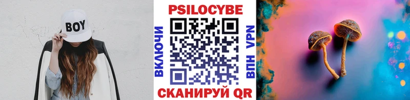 Псилоцибиновые грибы Cubensis  Славянск-на-Кубани 